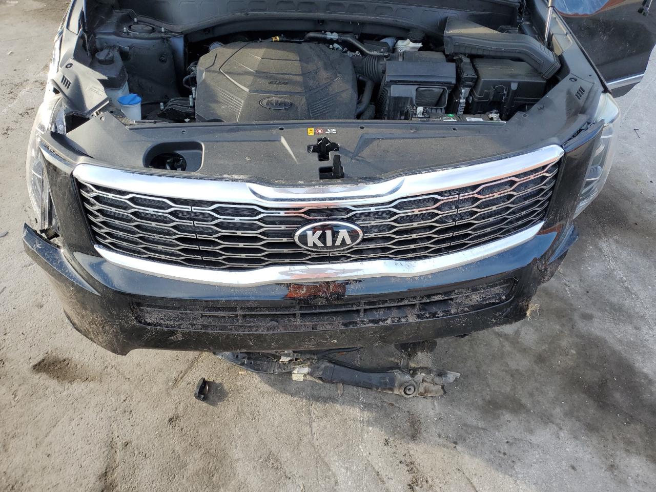 2020 Kia Telluride Ex VIN: 5XYP34HC8LG045181 Lot: 61183745