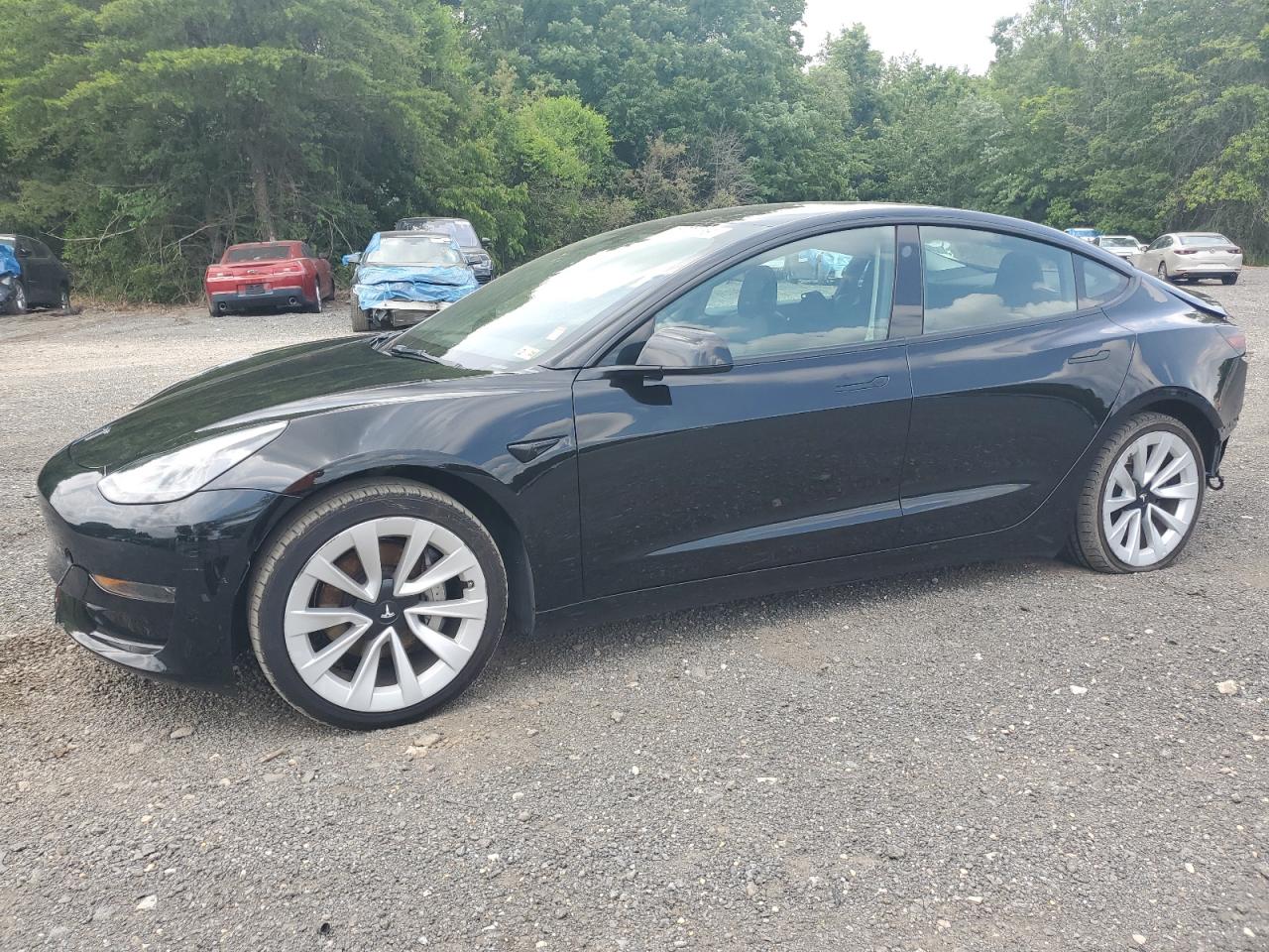 2023 Tesla Model 3 VIN: 5YJ3E1EAXPF451972 Lot: 60165475