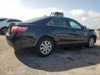 Apopka, FL에서 판매 중인 2009 Toyota Camry Base - Front End