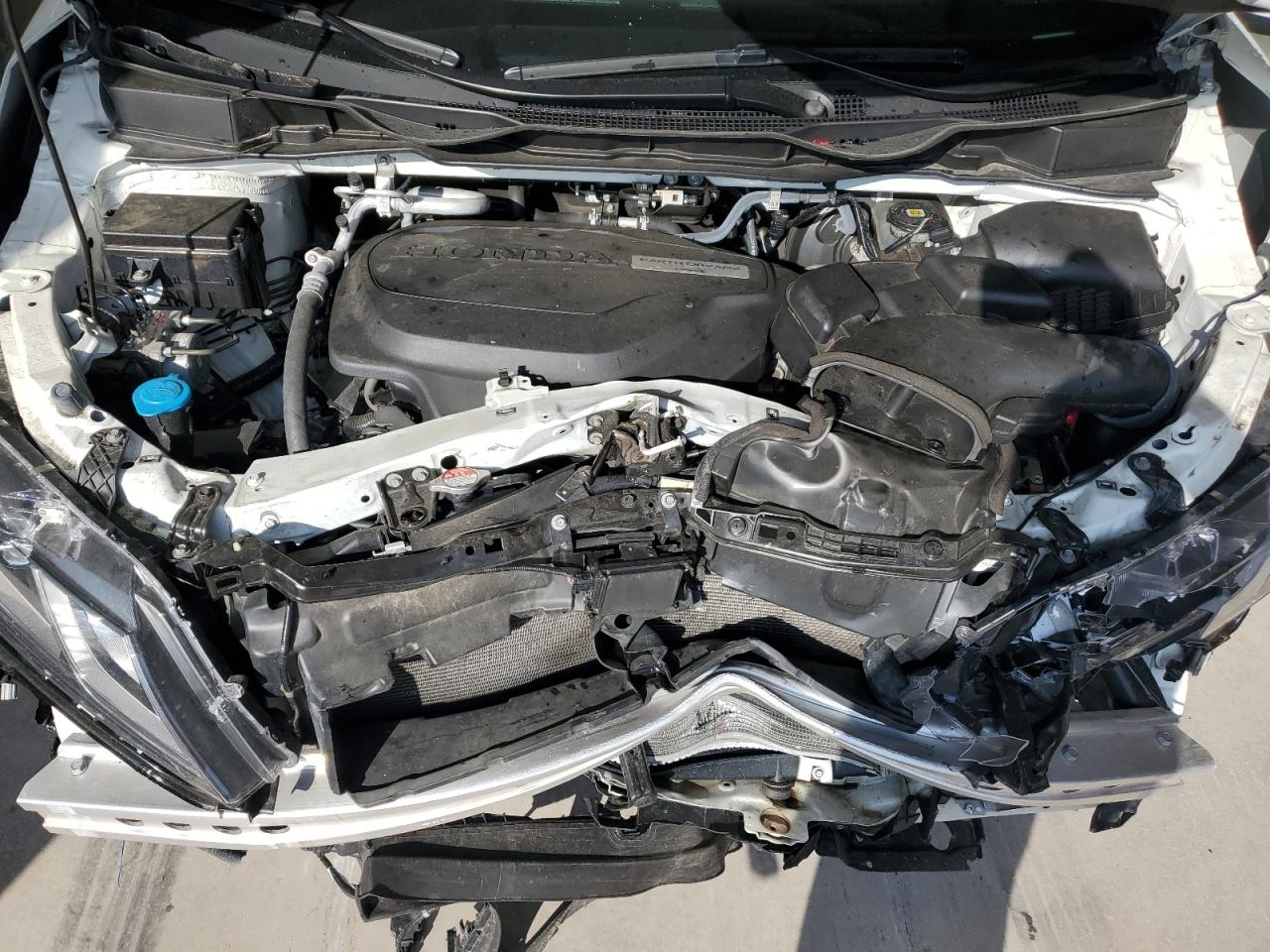 HONDA All Models 2019 VIN 5FNRL6H76KB016405 photo 12
