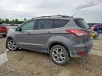 2014 Ford Escape Se for Sale in Houston, TX - Front End