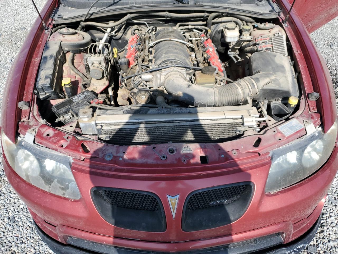 2006 Pontiac Gto VIN: 6G2VX12U26L571270 Lot: 60539995