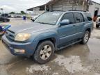 2005 Toyota 4Runner Limited на продаже в Corpus Christi, TX - Minor Dent/Scratches
