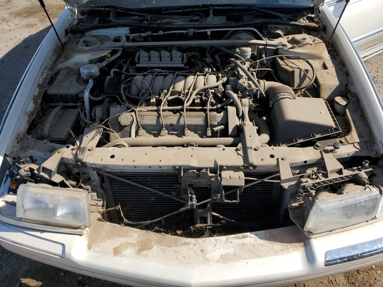 1999 Cadillac Eldorado VIN: 1G6EL12Y1XU608623 Lot: 60363235