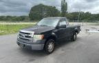 2013 Ford F150  იყიდება Apopka-ში, FL - Rear End