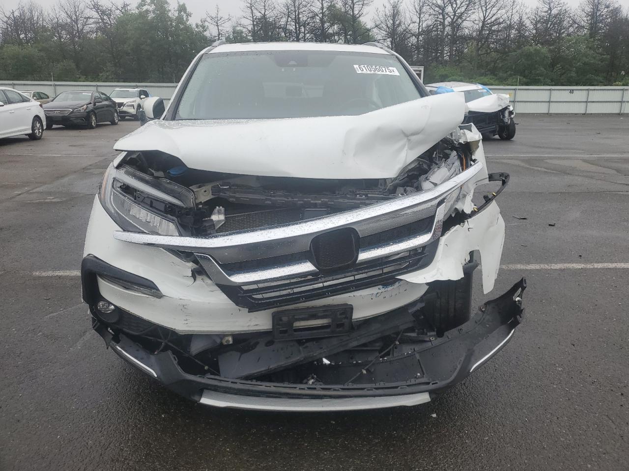 5FNYF6H91NB009631 HONDA PILOT 2022