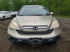 2009 HONDA CR-V EXL   for sale at Copart ON - COOKSTOWN