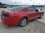 2013 Ford Mustang  for Sale in Oklahoma City, OK - Front End