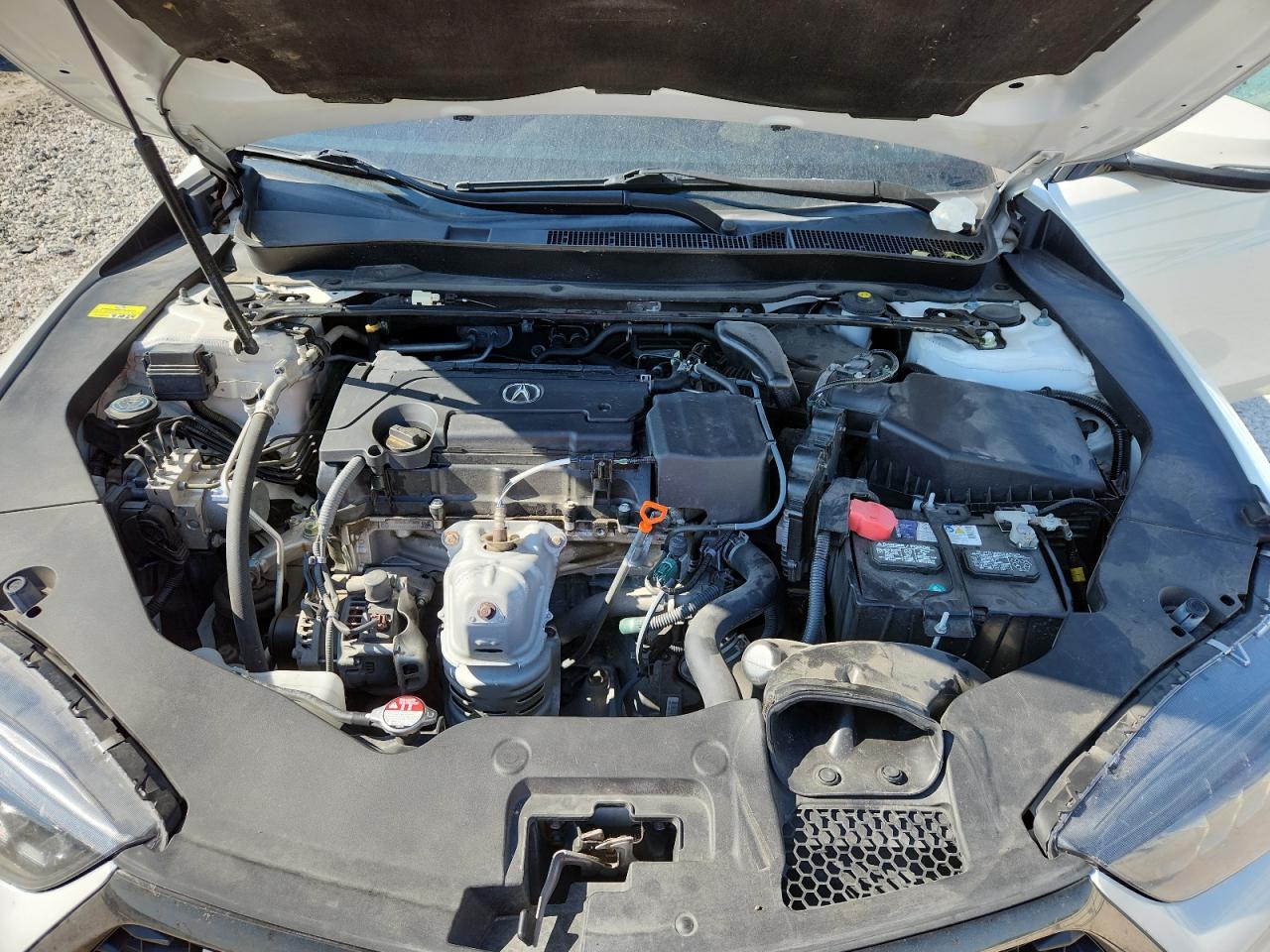 2019 Acura Tlx Technology VIN: 19UUB1F68KA002056 Lot: 60172755