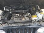 2002 Jeep Wrangler / Tj Sahara на продаже в Gaston, SC - All Over