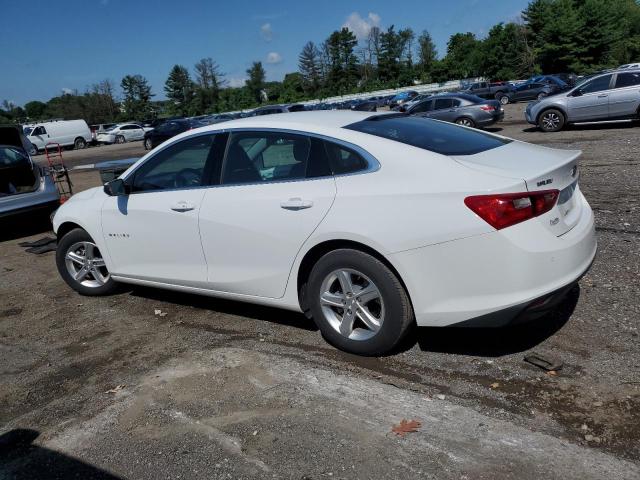 CHEVROLET MALIBU 2024 Білий