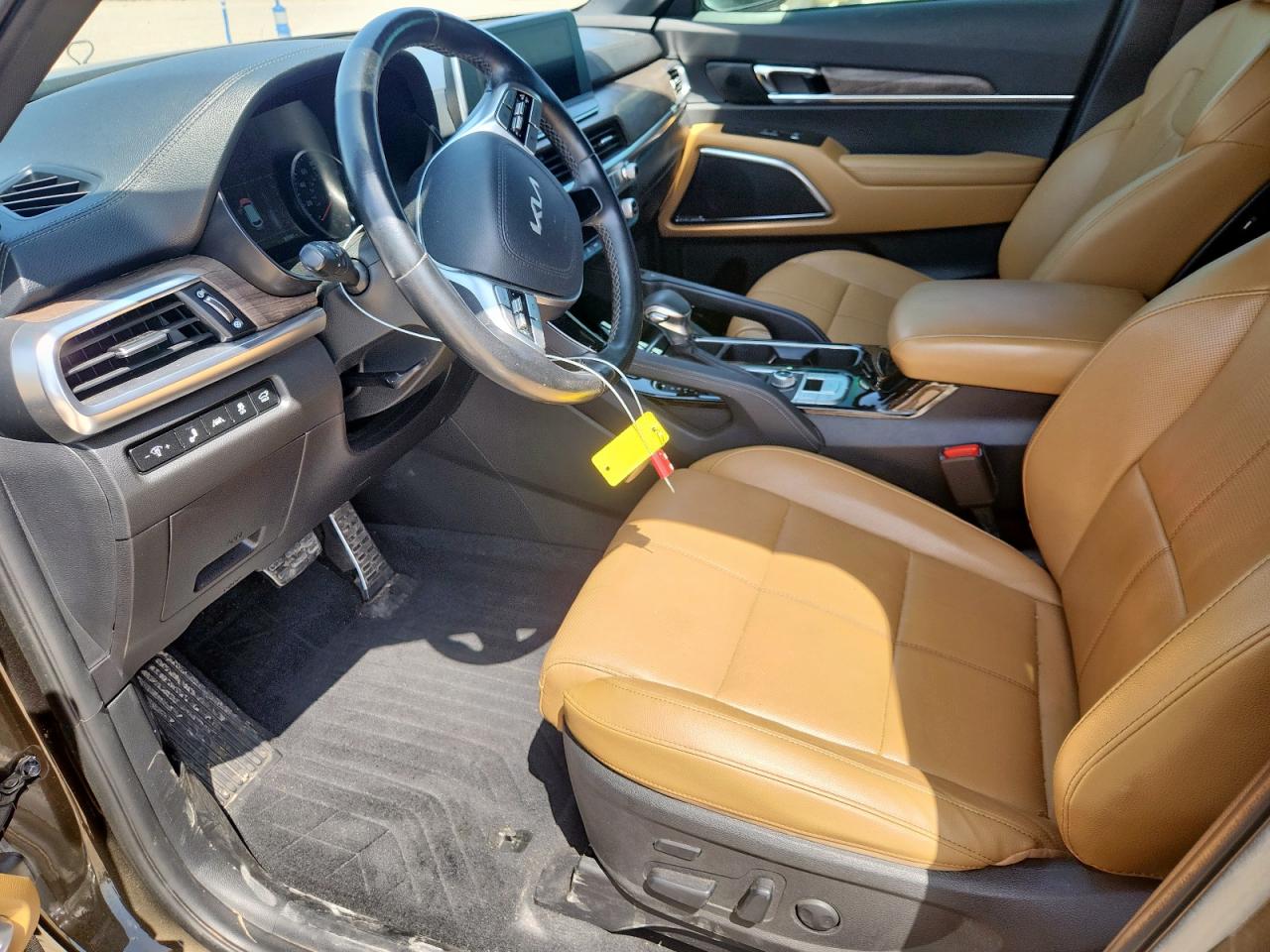 2022 Kia Telluride Sx VIN: 5XYP5DHC6NG194623 Lot: 60648055
