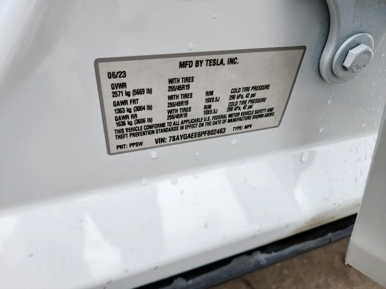 2023 Tesla Model Y VIN: 7SAYGAEE6PF802463 Lot: 60727185