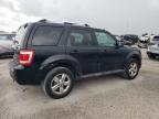 2011 Ford Escape Limited на продаже в New Orleans, LA - All Over