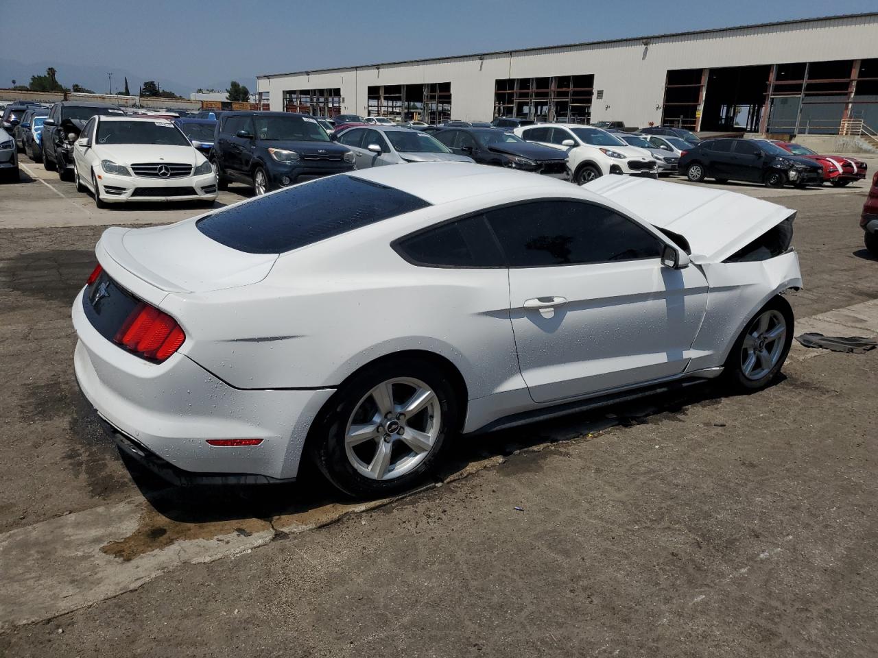 1FA6P8AM1G5336653 FORD ALL Models 2016