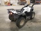 2008 Honda Trx500 Fpm იყიდება Avon-ში, MN - Front End