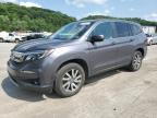 2019 Honda Pilot Exl   zu verkaufen in Ellwood City, PA - Side