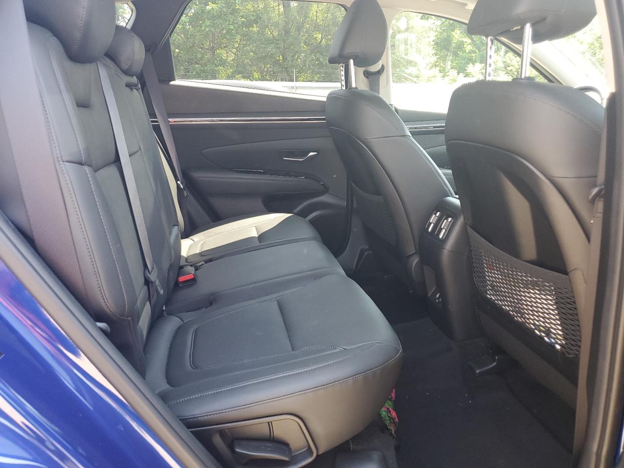 2022 Hyundai Tucson Limited VIN: 5NMJECAE5NH132132 Lot: 61995285