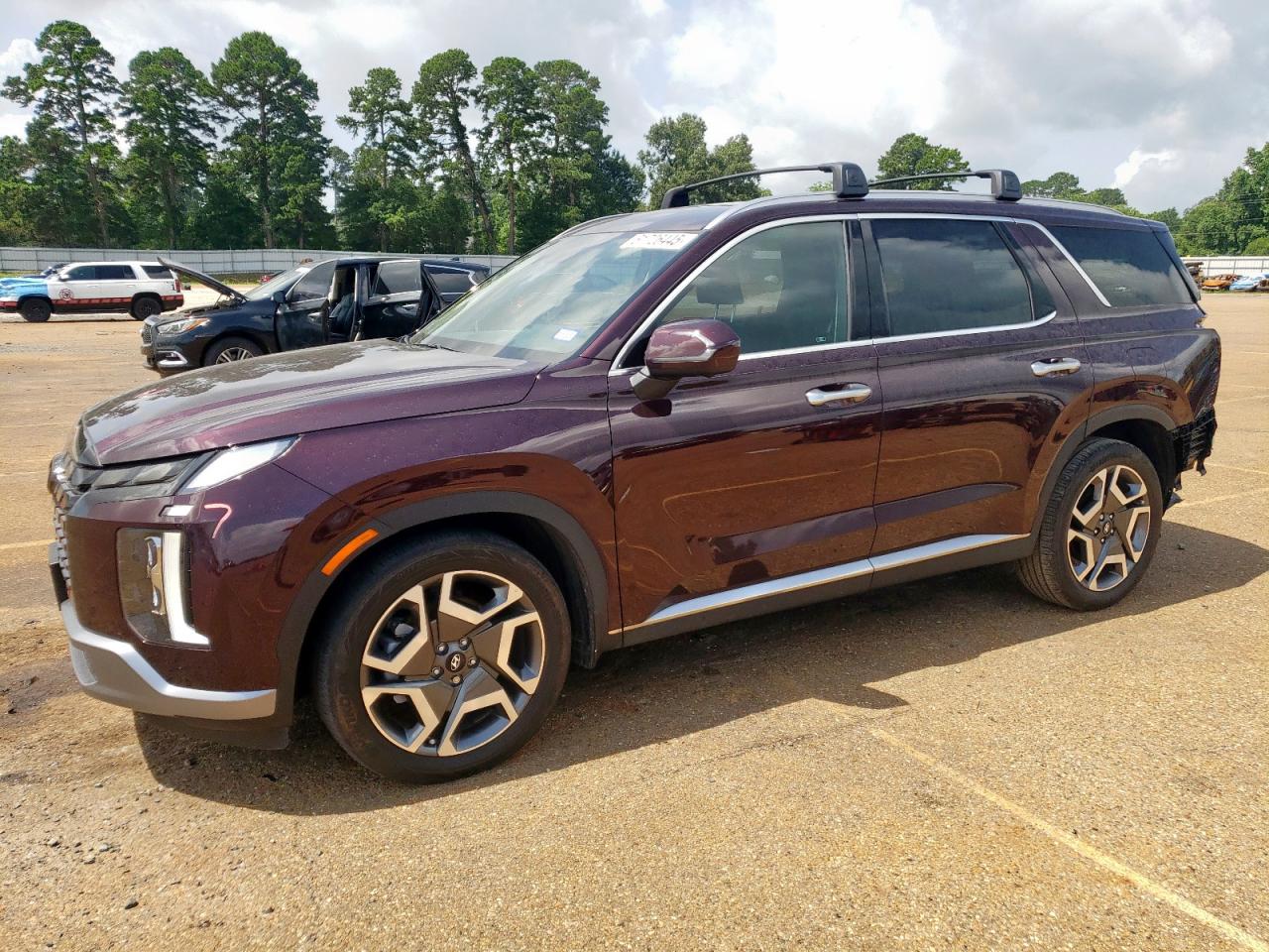 KM8R54GE9PU563760 HYUNDAI PALISADE Photo 1