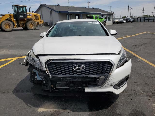 Sedans HYUNDAI SONATA 2017 Biały