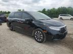 2022 Honda Odyssey Exl for Sale in Indianapolis, IN - Front End