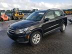 2017 Volkswagen Tiguan S na sprzedaż w Dunn, NC - Rear End