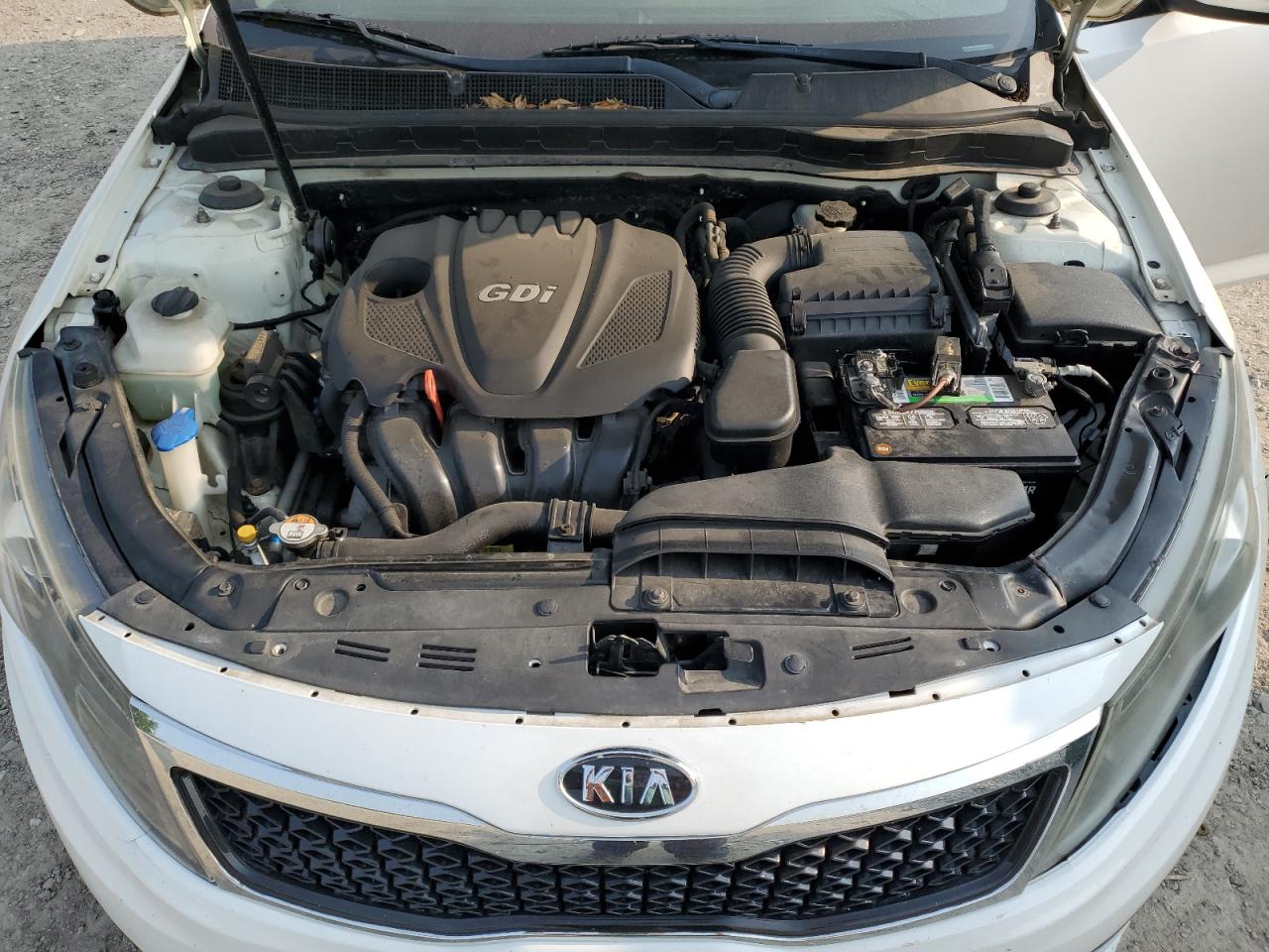 2011 Kia Optima Lx VIN: KNAGM4A74B5188224 Lot: 59084565