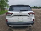 2021 FORD ESCAPE S   for sale at Copart ON - COOKSTOWN