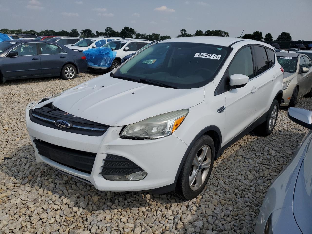 2014 Ford Escape Se იყიდება Sikeston-ში, MO - Front End
