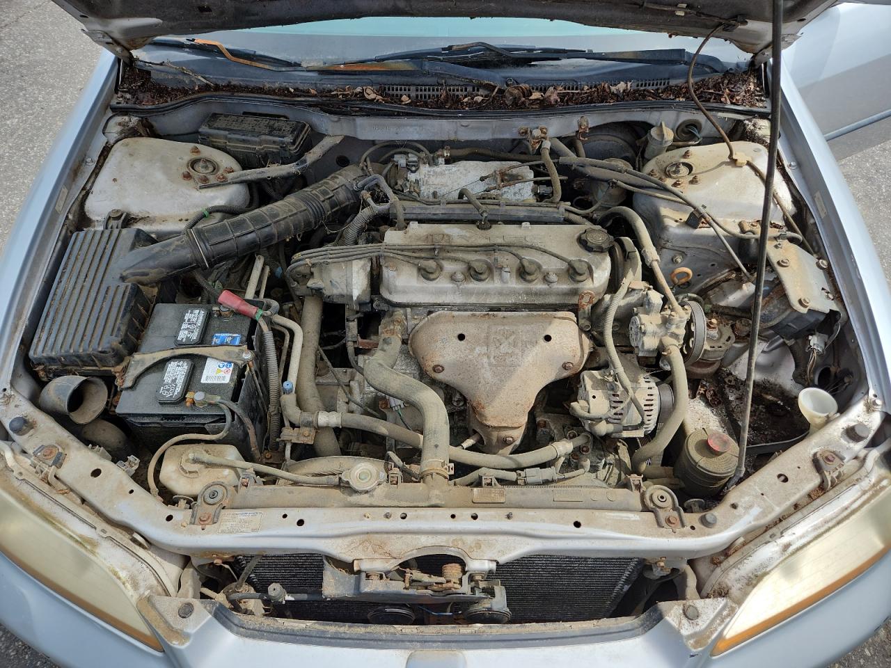 2000 Honda Accord Lx VIN: 1HGCG5542YA119113 Lot: 61295055
