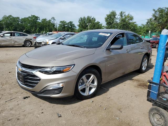 CHEVROLET MALIBU LS 2024