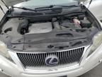 2010 Lexus Rx 450H en Venta en Nampa, ID - Side