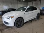 2018 Alfa Romeo Stelvio Quadrifoglio   na sprzedaż w Franklin, WI - Vandalism
