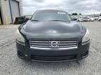 2009 Nissan Maxima S იყიდება Earlington-ში, KY - Rear End