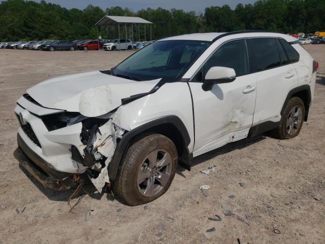 TOYOTA RAV4 XLE 2024
