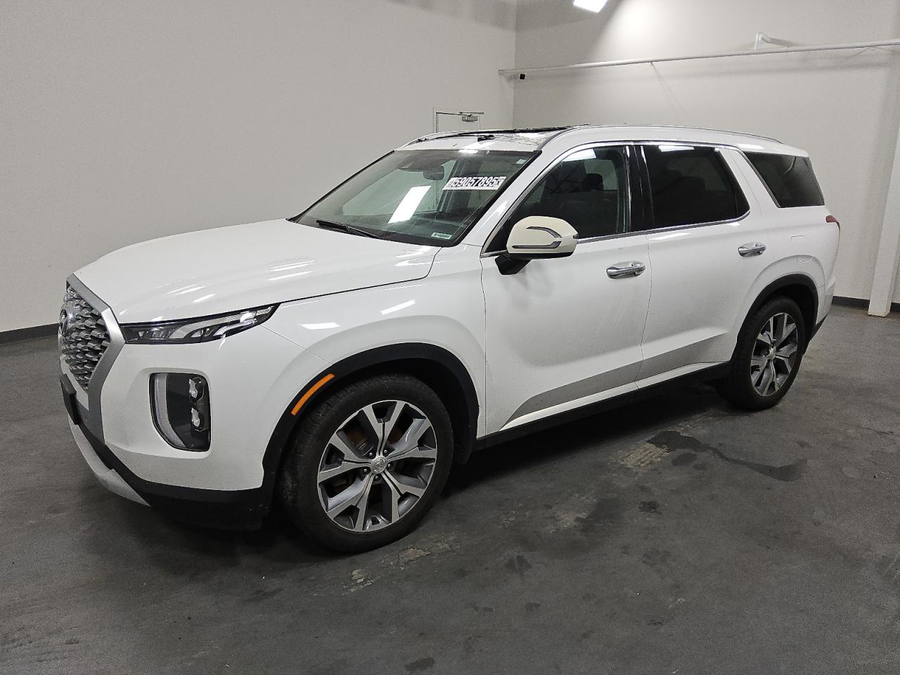 2020 Hyundai Palisade Sel VIN: KM8R4DHEXLU116351 Lot: 59057895
