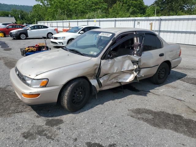 1995 Toyota Corolla   