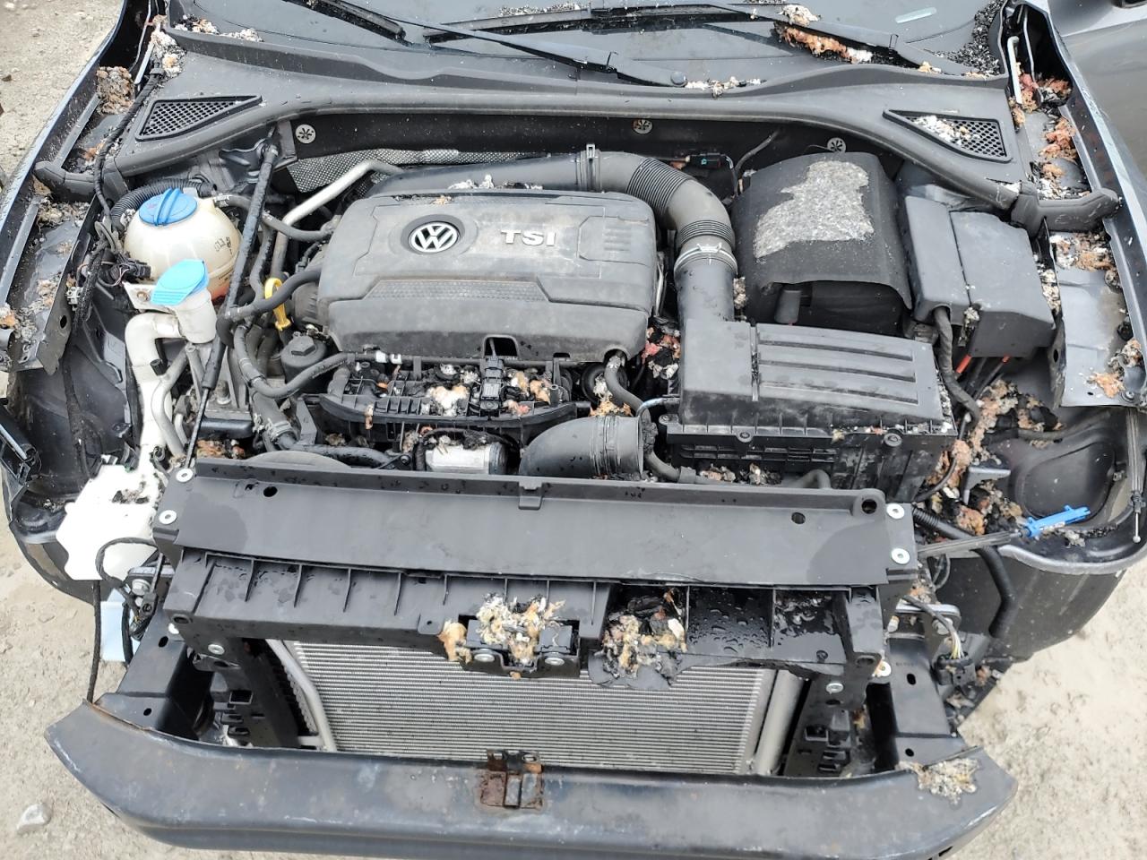 2015 Volkswagen Passat Sel VIN: 1VWCS7A35FC122589 Lot: 59526075