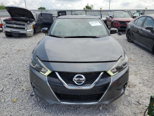 NISSAN MAXIMA 2018 Szary
