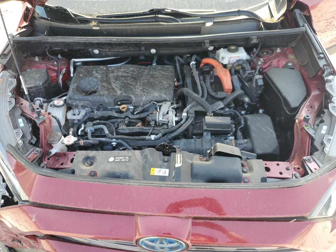 2T3DWRFV3KW039994 TOYOTA RAV4 2019
