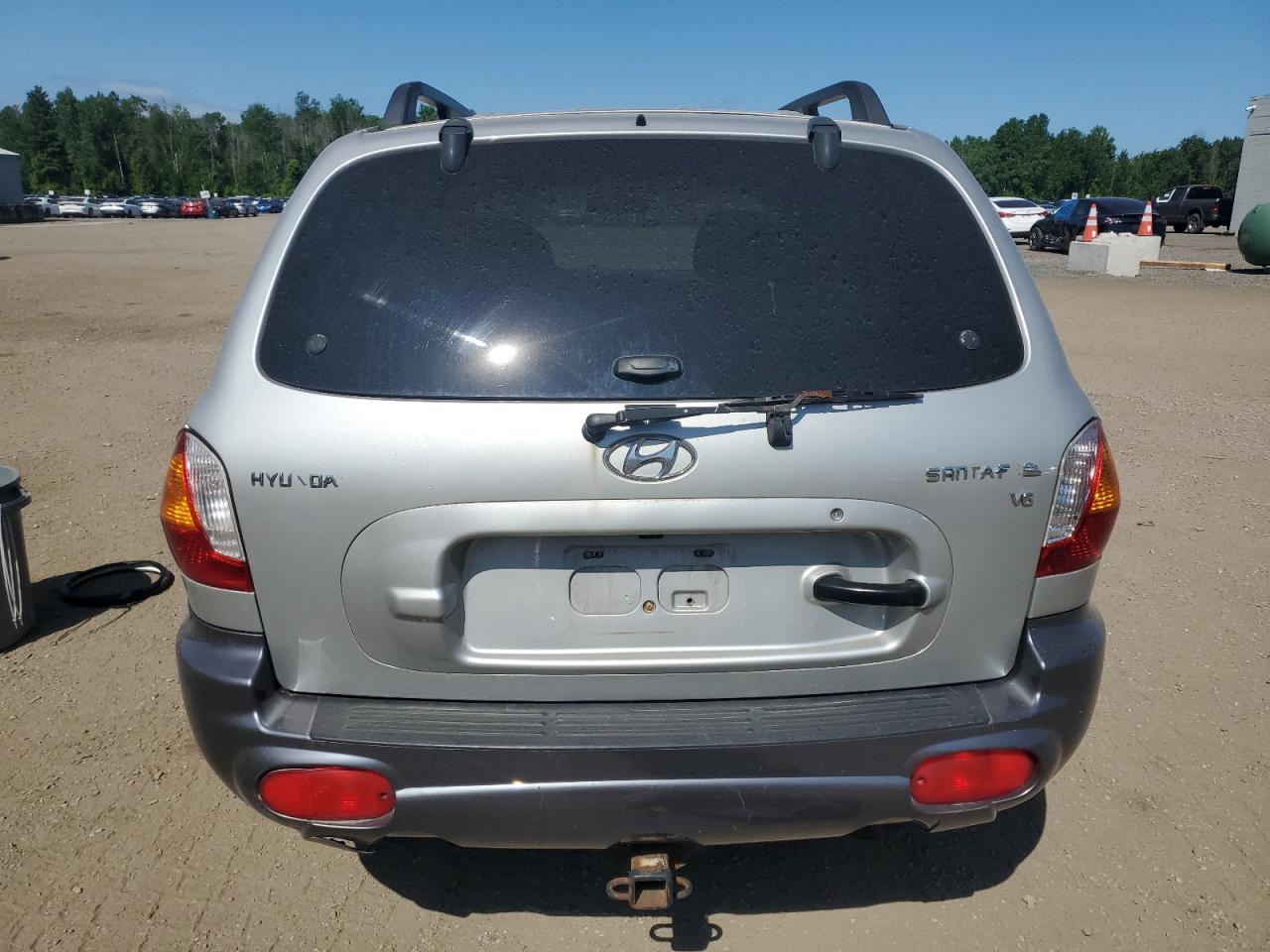 2004 Hyundai Santa Fe VIN: KM8SB13D64U765389 Lot: 62084975