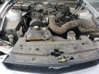 2005 Ford Mustang  for Sale in North Las Vegas, NV - Rear End
