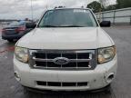 2010 Ford Escape Xlt   for Sale in Lebanon, TN - Side