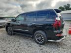 2017 Lexus Gx 460 продається в Prairie Grove, AR - Hail