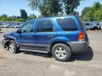 2007 Ford Escape Xlt for Sale in Portland, OR - Front End