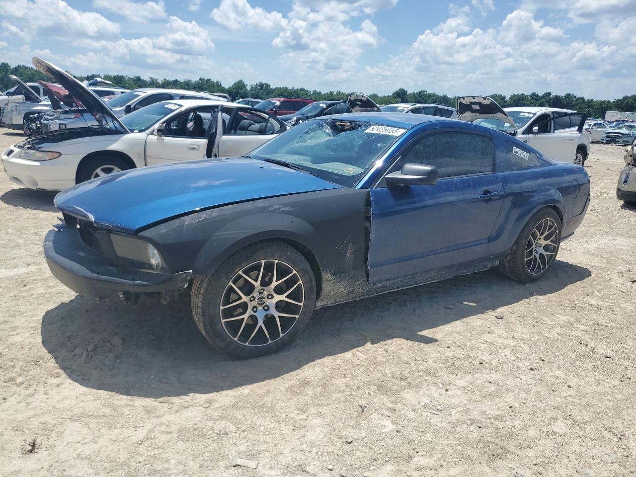 2006 Ford Mustang Gt VIN: 1ZVFT82H065200081 Lot: 62425655