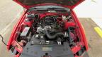 2008 FORD MUSTANG à vendre chez Copart NJ - GLASSBORO EAST