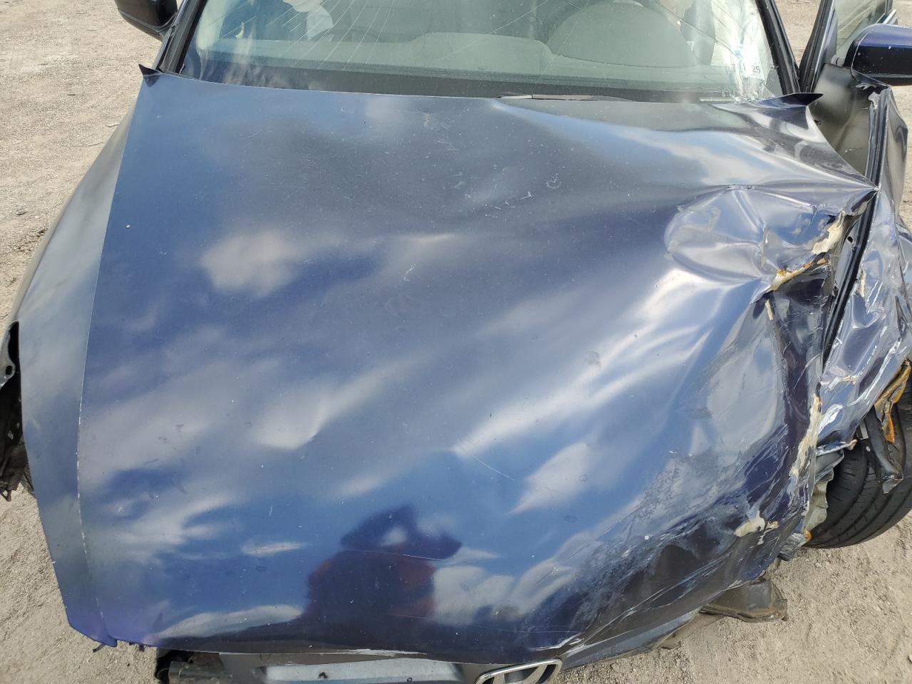 2006 Honda Accord Ex VIN: 1HGCM56866A036484 Lot: 61421655