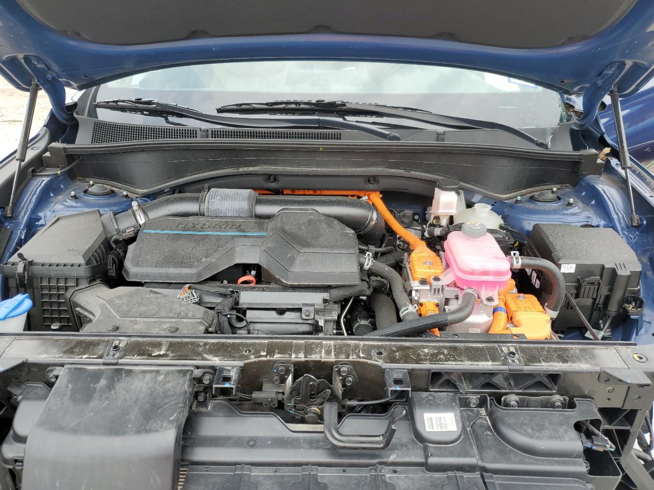 2023 Hyundai Santa Fe Sel Premium VIN: 5NMS3DA1XPH010480 Lot: 62839775