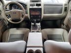 2008 FORD ESCAPE XLT   for sale at Copart MN - MINNEAPOLIS